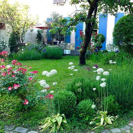 Un Jardin En - Parking Gratuit *